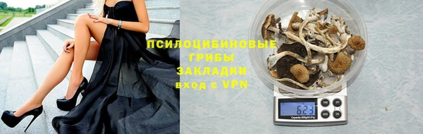 гидра Абаза