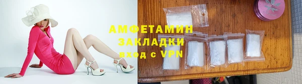 гидра Абаза