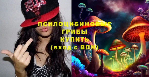 2c-b Алзамай