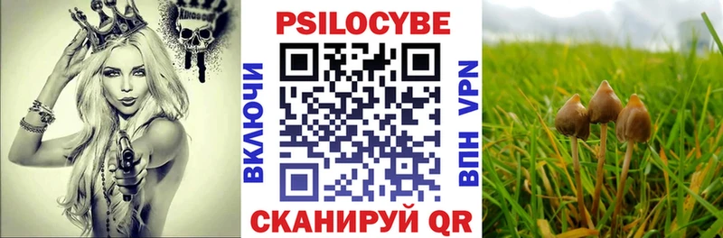 Галлюциногенные грибы мухоморы  Тында 